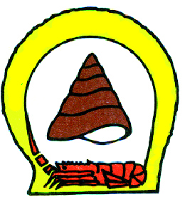 Badu Island Foundation logo